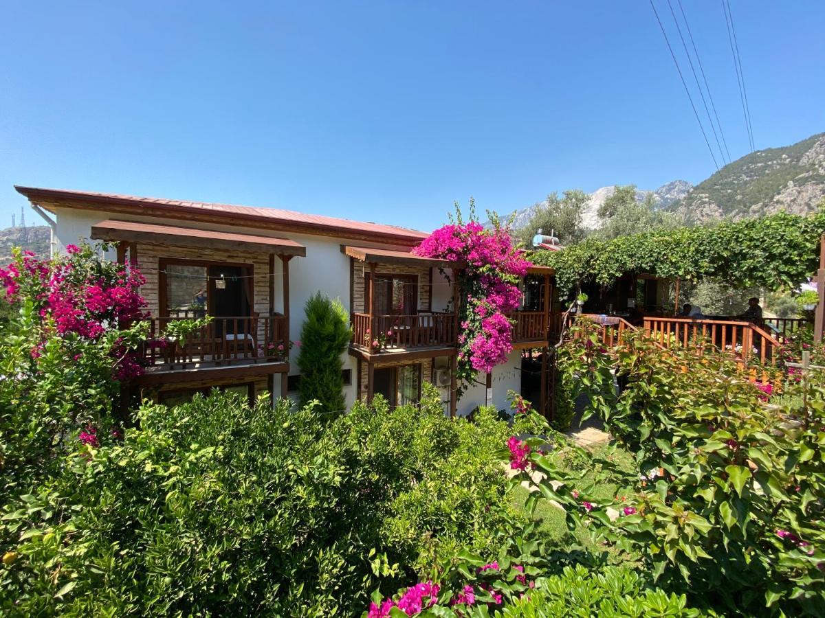 Faralya Misafir Evi Διαμέρισμα Εξωτερικό φωτογραφία