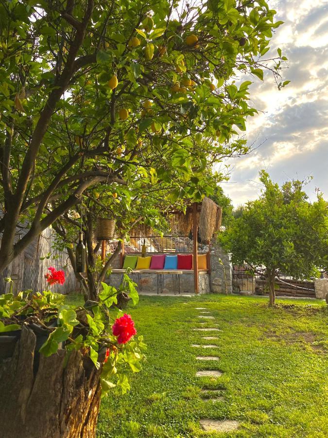 Faralya Misafir Evi Διαμέρισμα Εξωτερικό φωτογραφία